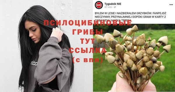 mdpv Баксан