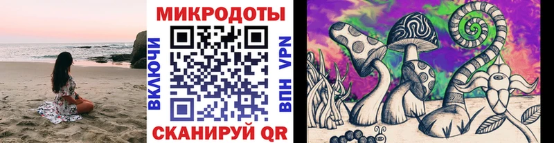 Галлюциногенные грибы Cubensis  KRAKEN сайт  Верея 