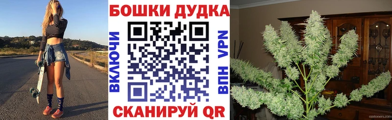 Бошки марихуана MAZAR  где найти наркотики  Верея 